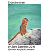 erdmaennchen-zara